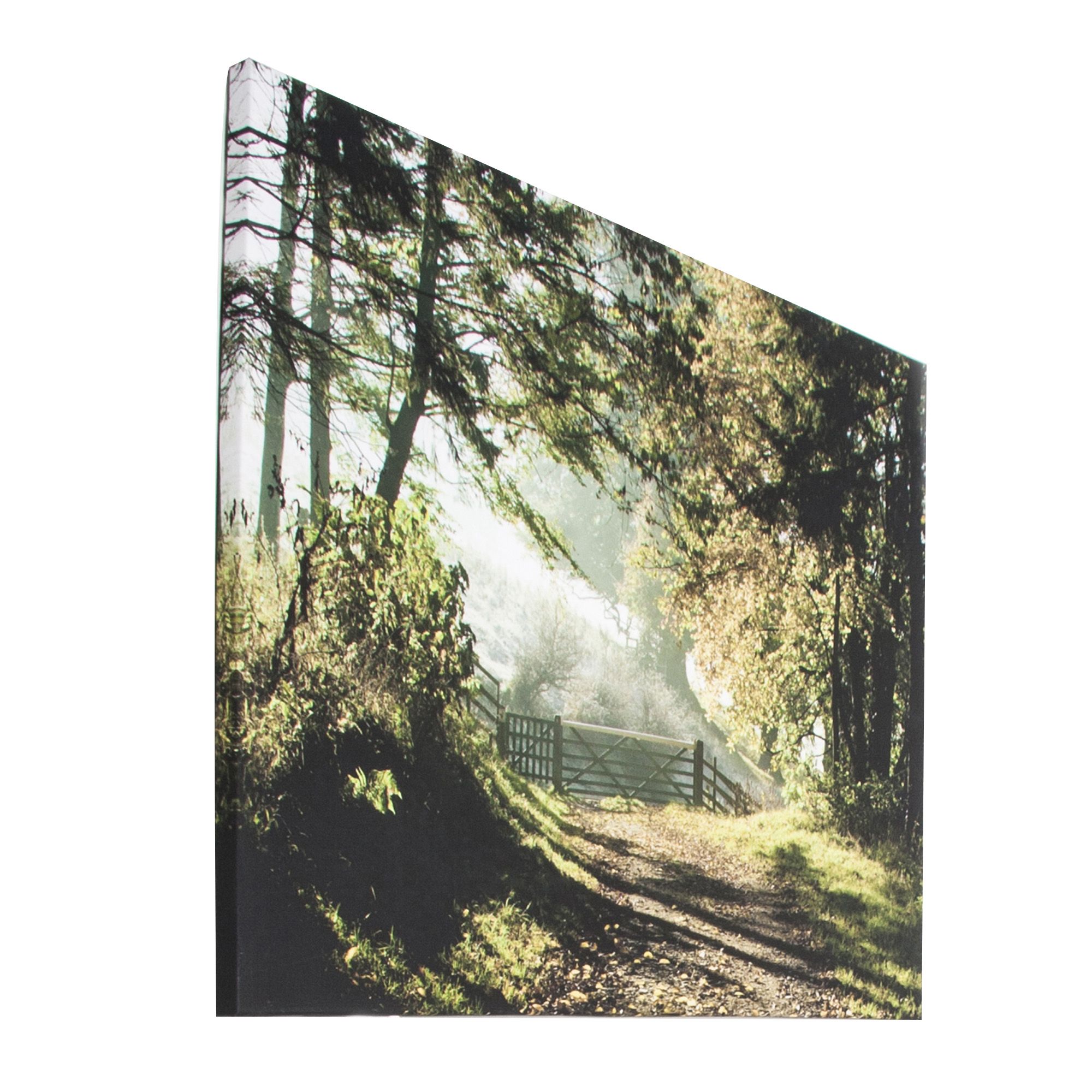 Forest walk Brown & green Canvas art (H)60cm x (W)80cm