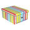 Form Multicolour Striped Plastic Storage box