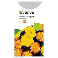 French petite Marigold Seed