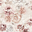 Fresco Blush Romantic ink Wallpaper