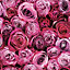 Fresco Pink Roses Smooth Wallpaper
