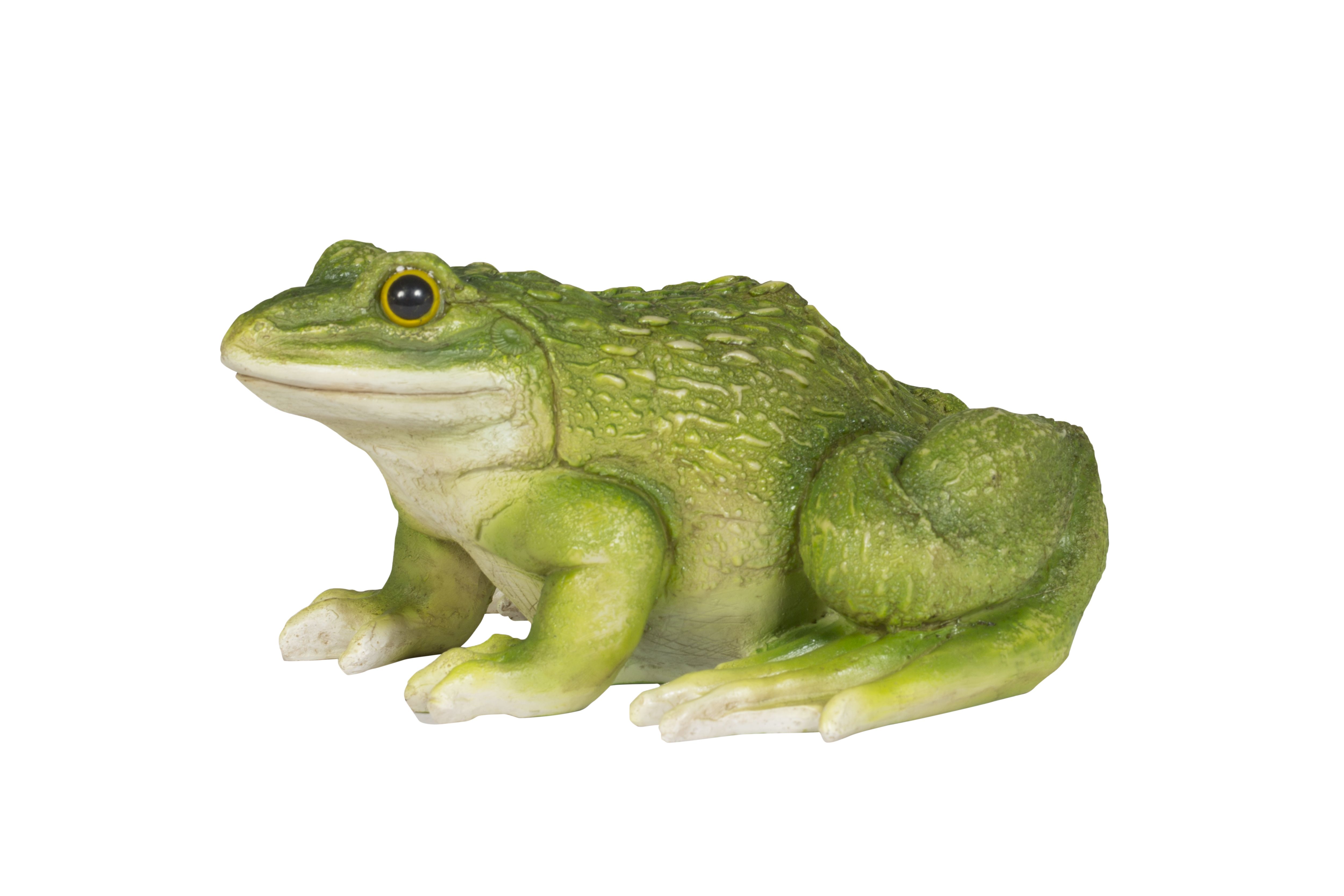 Frog Garden Ornament Diy At B Q