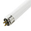 G5 4000K 470lm Tube Neutral white Fluorescent Light bulb (L)302mm