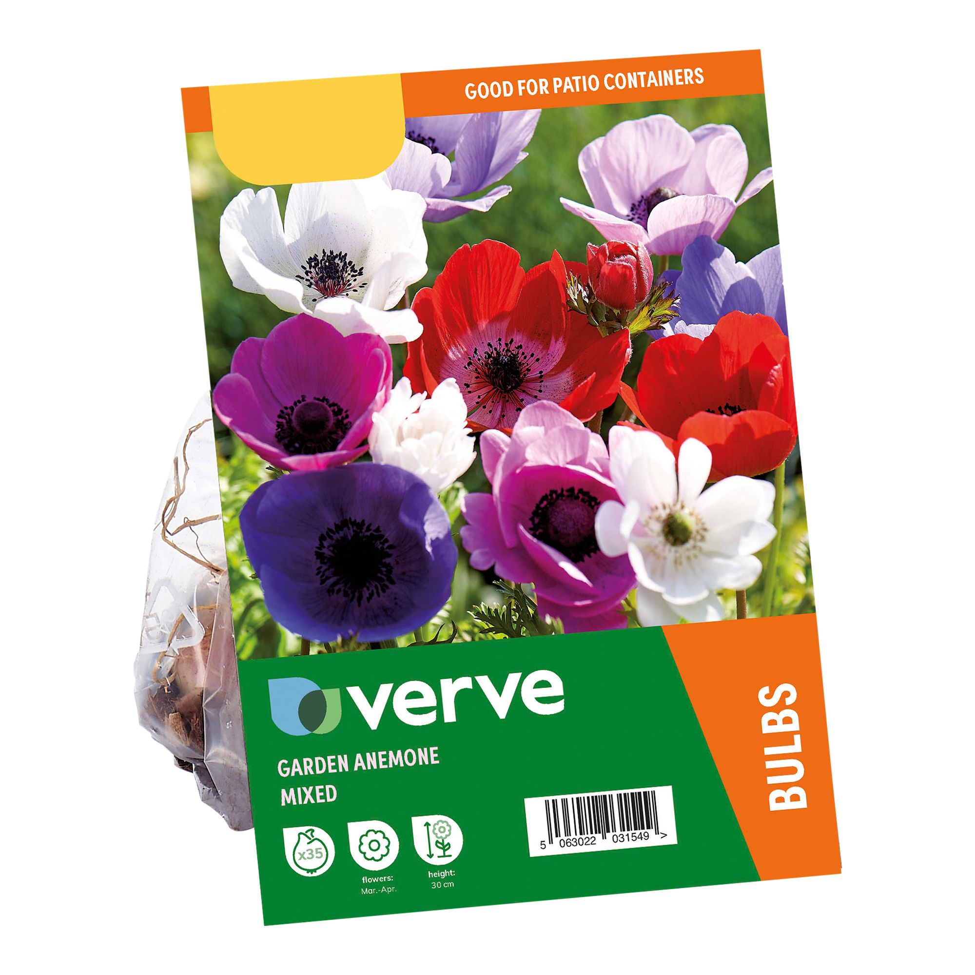 Garden Anemone Mixed 35 Flower bulbs