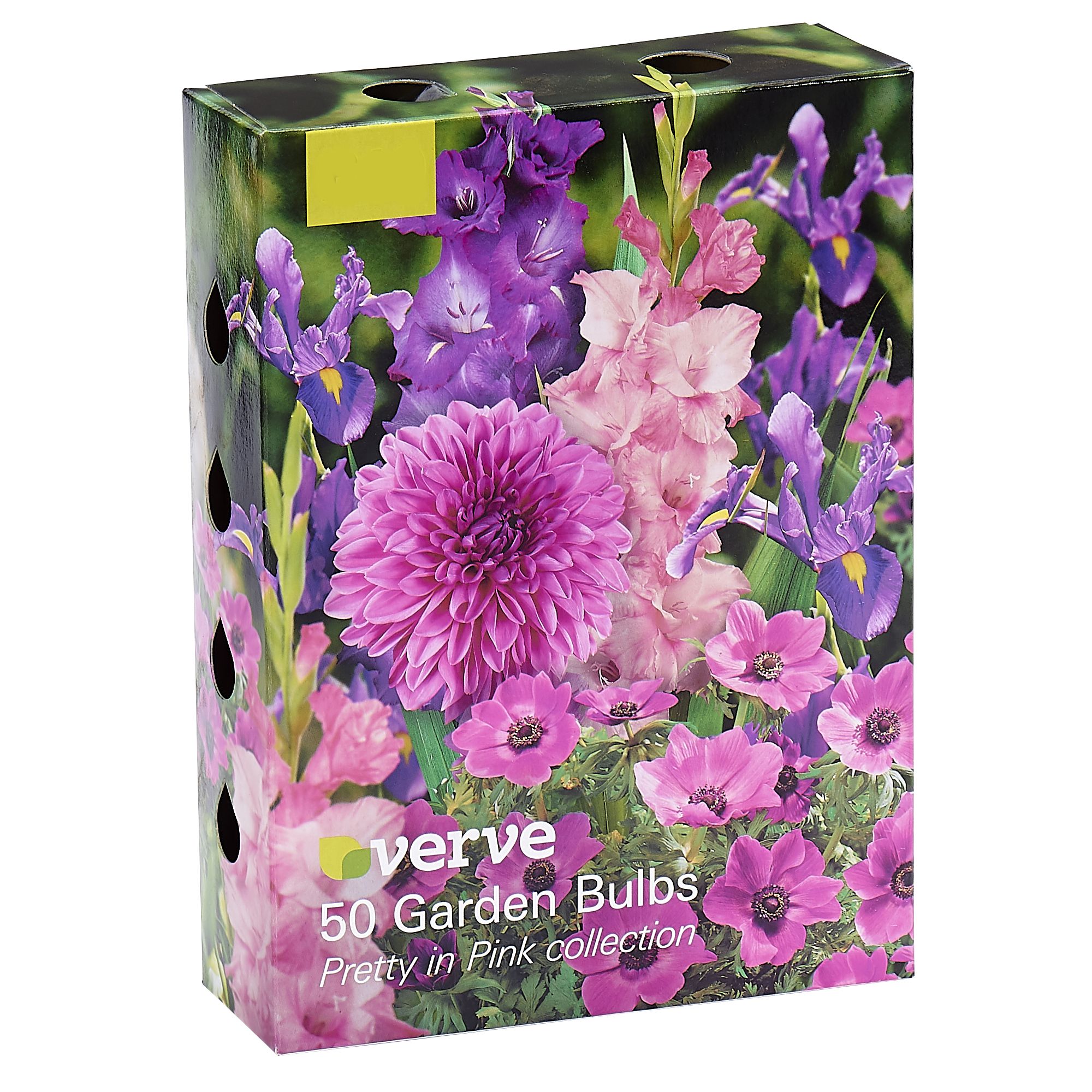 Garden Bulbs Pretty in Pink collection 50 Flower bulbs