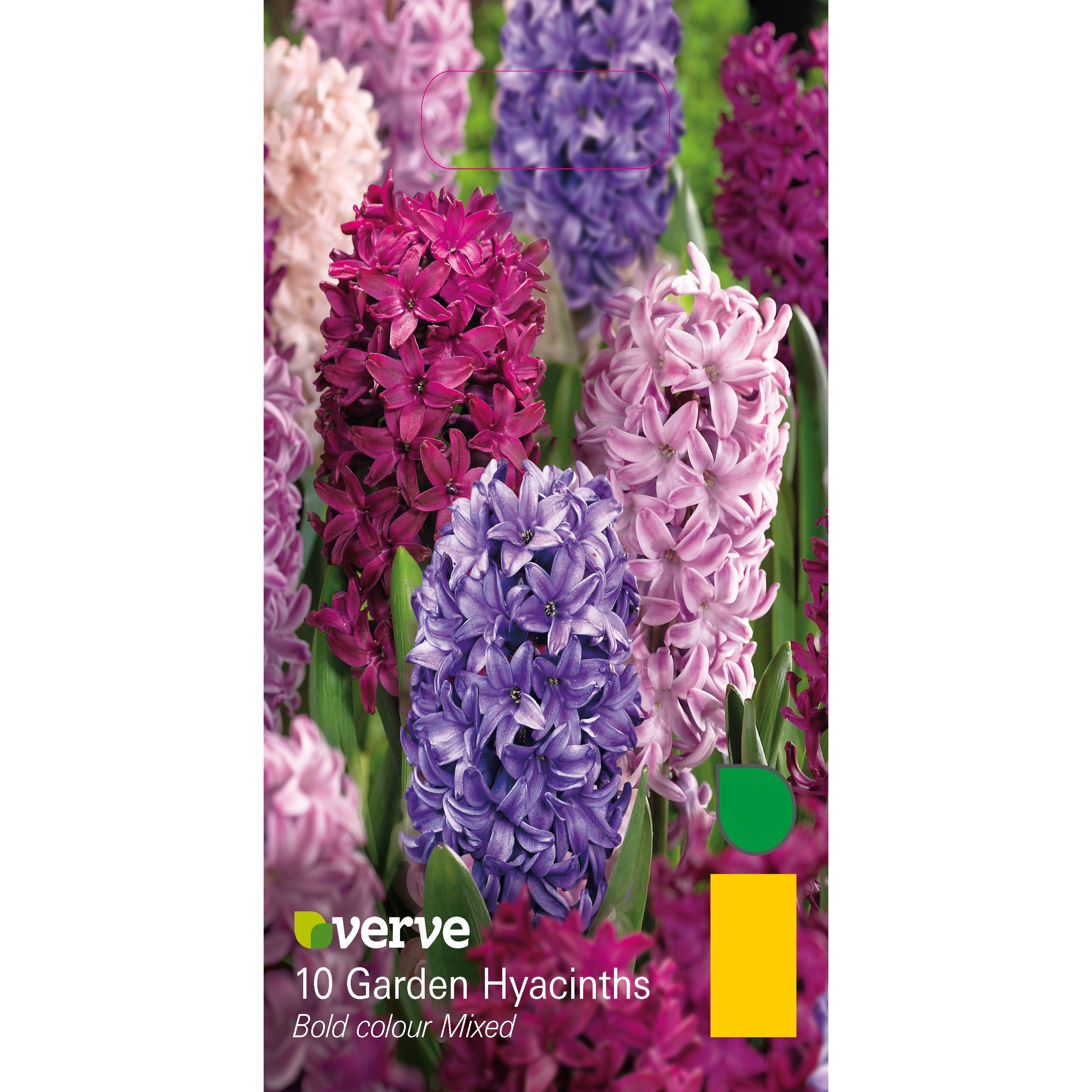 Garden hyacinths Mixed Bulbs DIY at B&Q