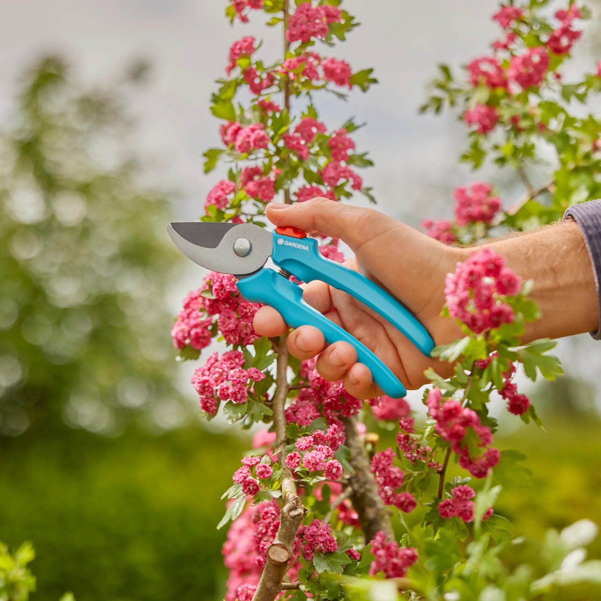 Gardena EasyCut Turquoise Bypass Secateurs
