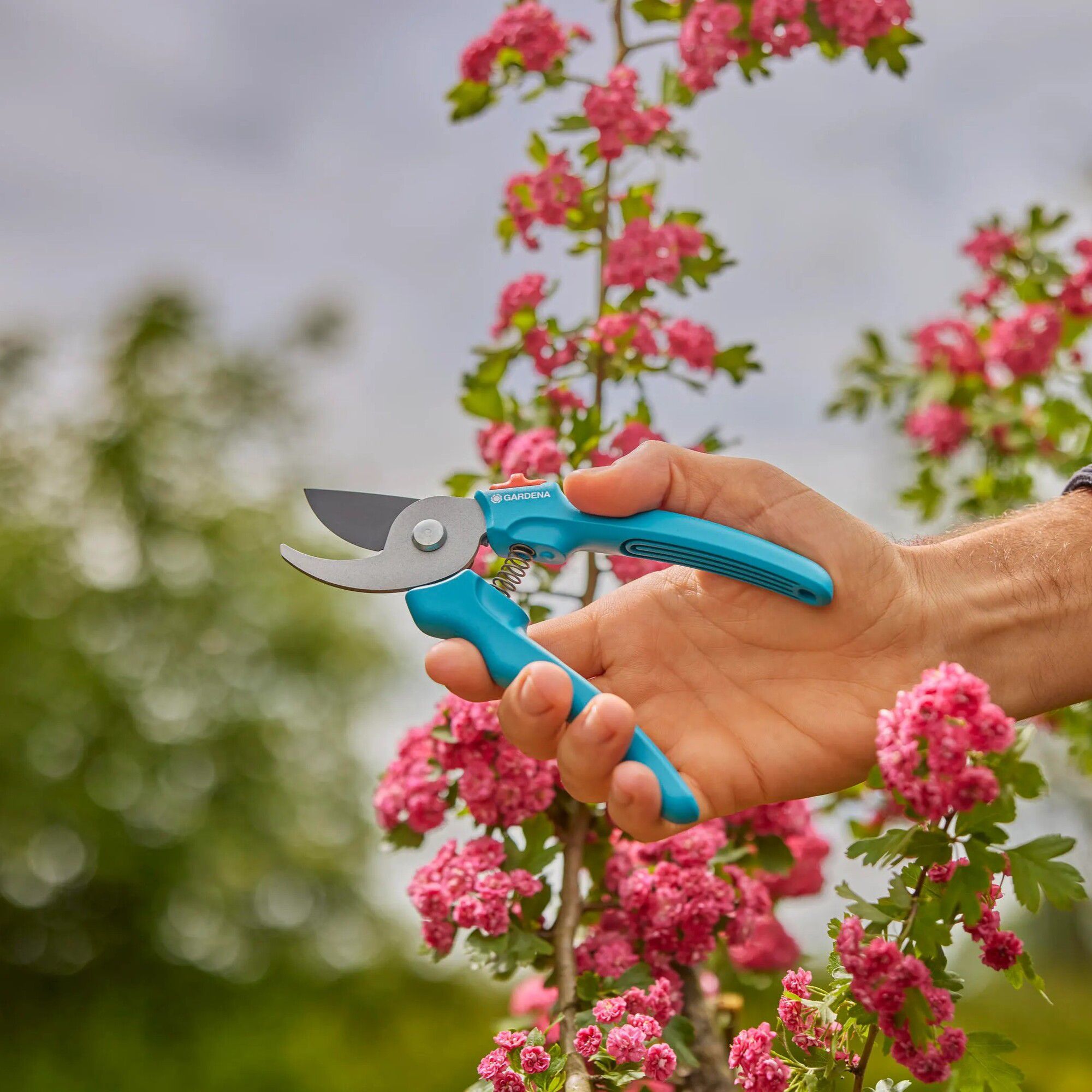 Gardena EasyCut Turquoise Bypass Secateurs