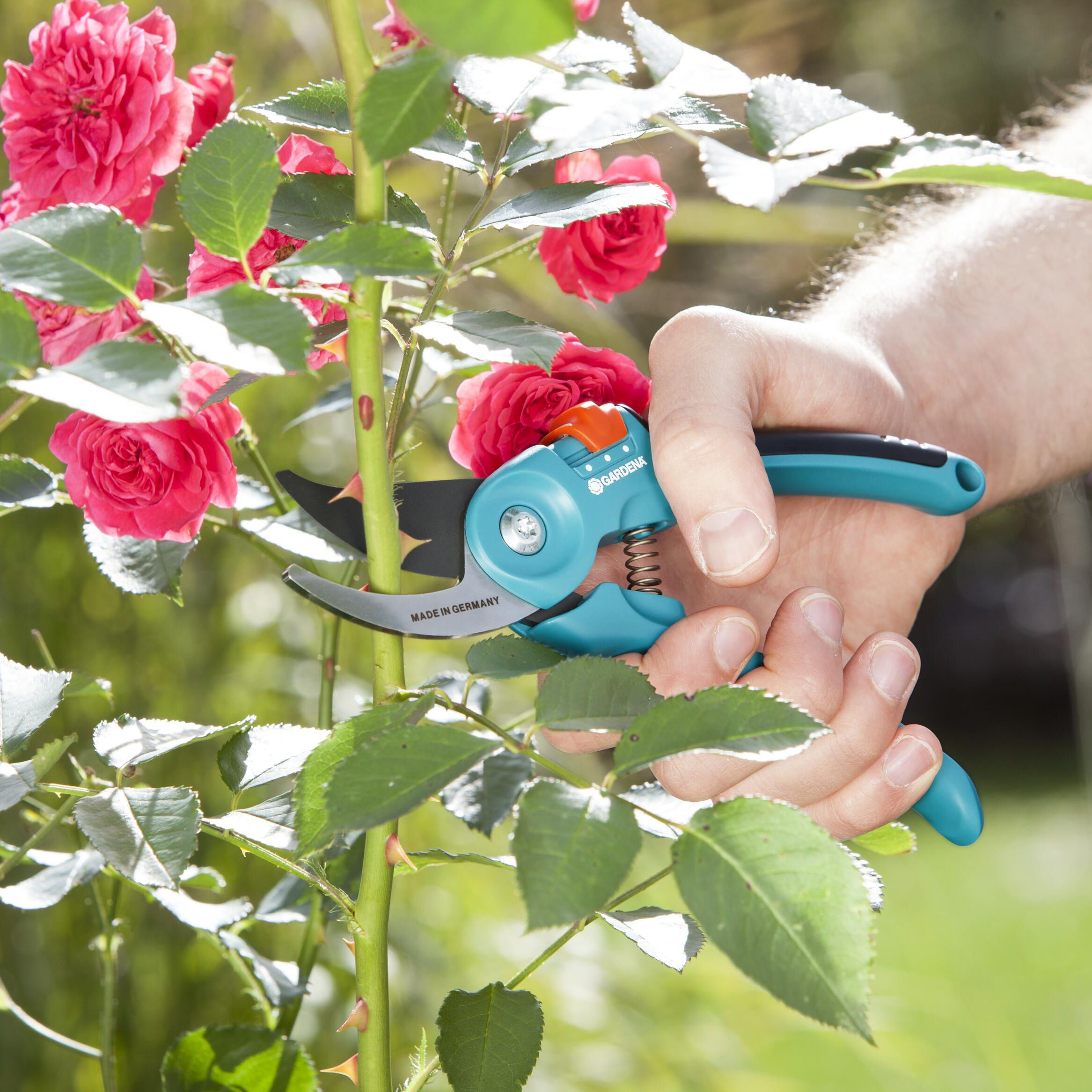 Gardena Teal Bypass Secateurs