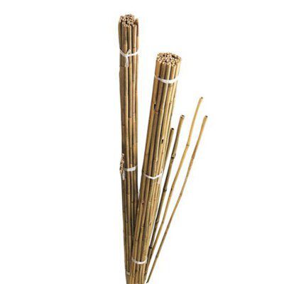 Garden Bamboo Cane Toppers - Pack of 12 – In-Excess Direct