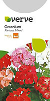 Geranium Seed
