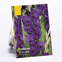 Gladioli Purple Flora Flower bulb, Pack of 15