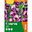 Gladiolus Alfalfa Purple bicolour Flower bulb Pack of 15