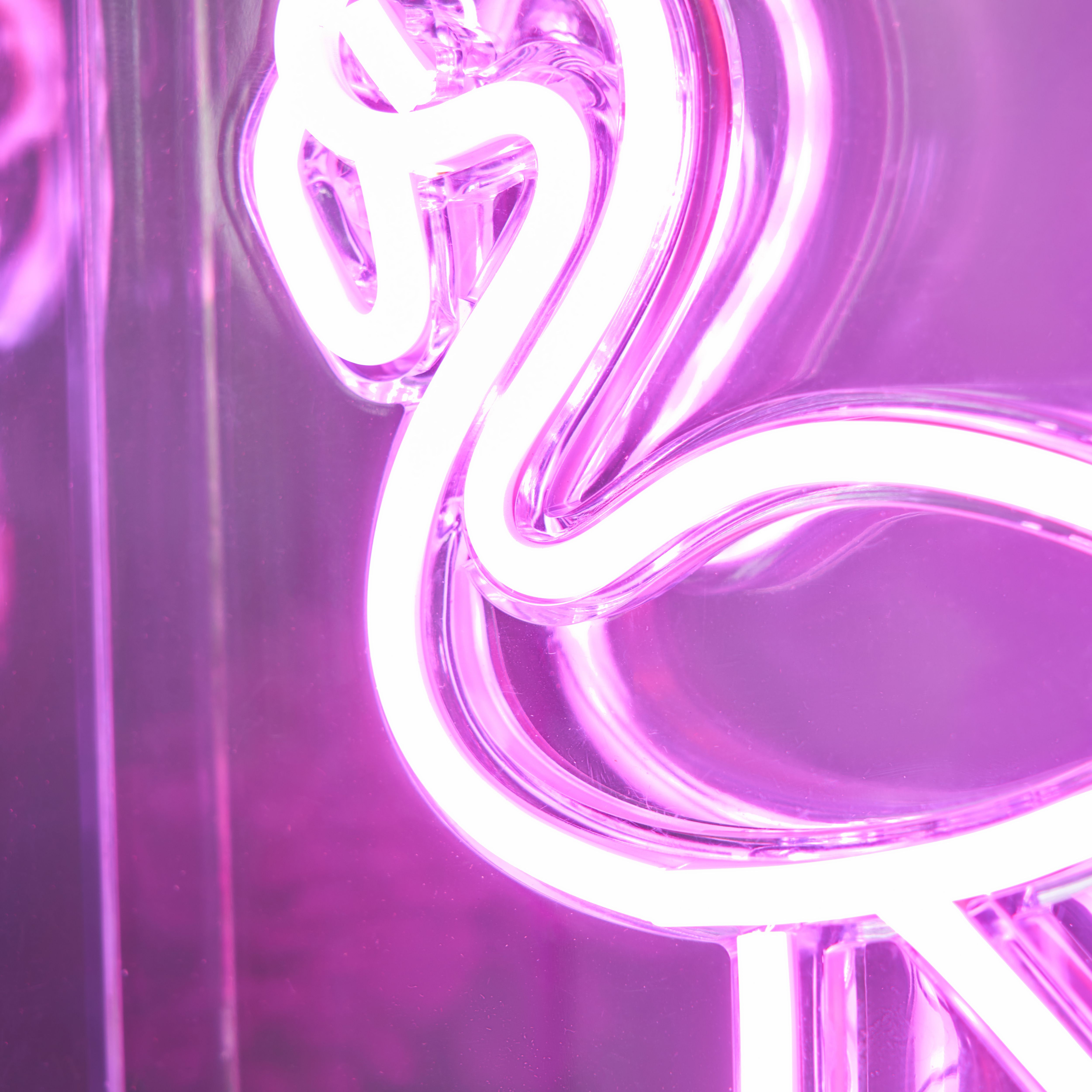 Glow Collection Flamingo Rectangular Gloss Neon Pink Integrated LED Table lamp