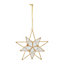 Gold Metal & plastic Star Decoration