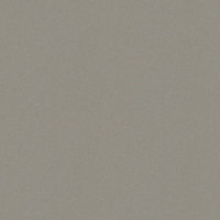 GoodHome 0.5mm Berberis Super matt Titan grey Laminate Square edge Kitchen Worktop, (L)160mm Sample