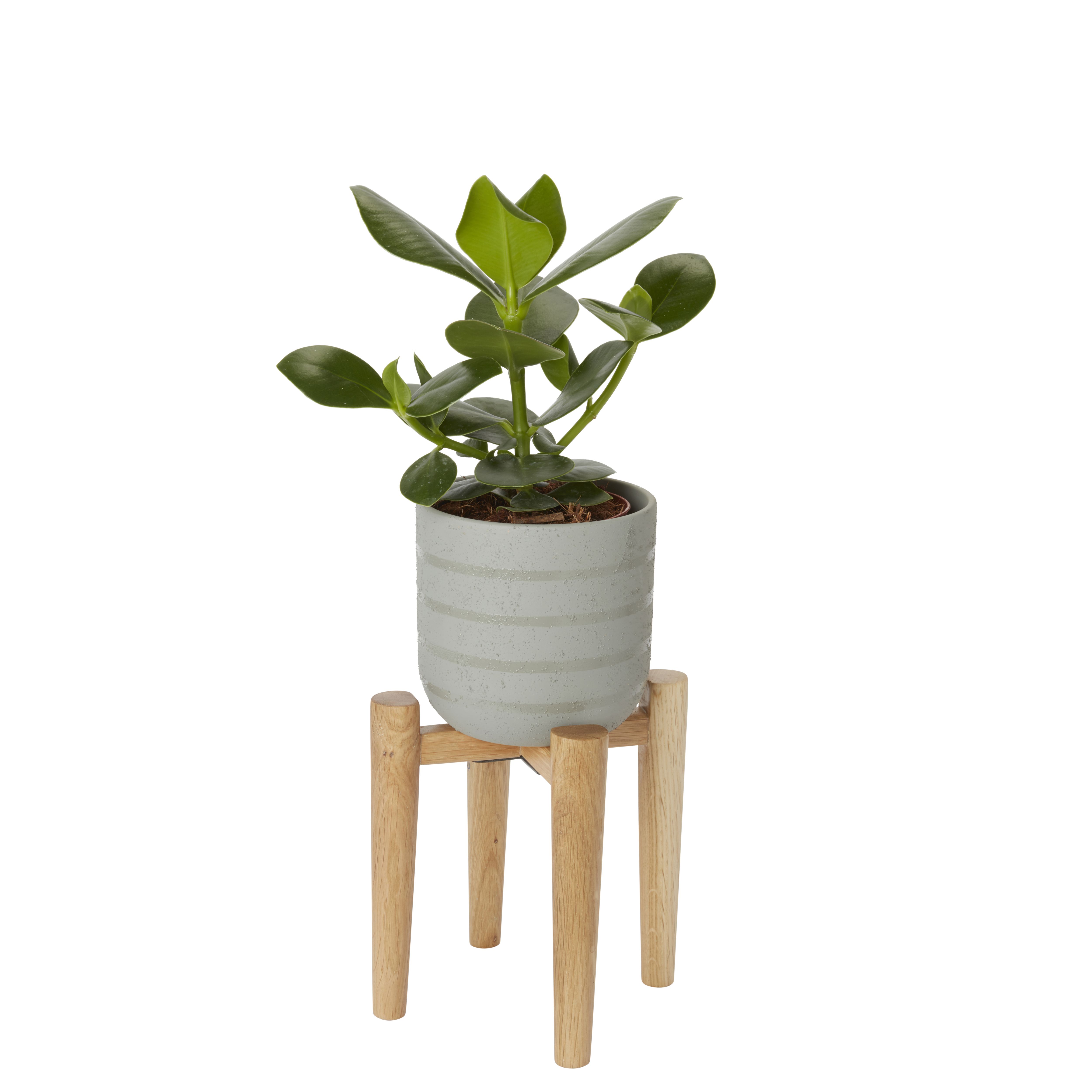 GoodHome 12cm Small Wood Pot stand