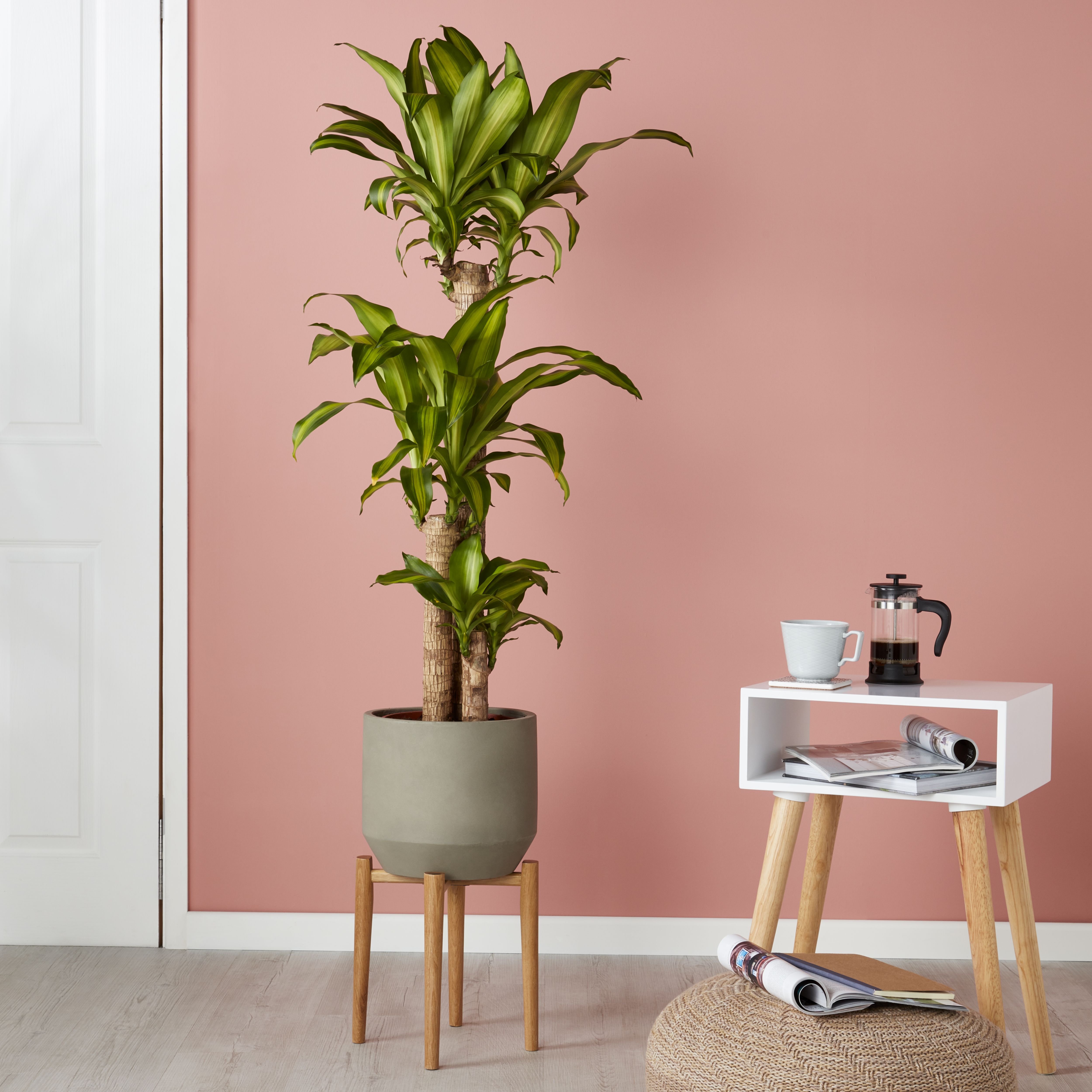 GoodHome 24cm Large Wood Pot stand
