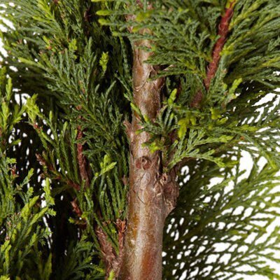 GoodHome Conifer Castlewellan gold
