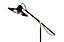 GoodHome Delagoa Industrial Matt Black & Gold LED Floor lamp
