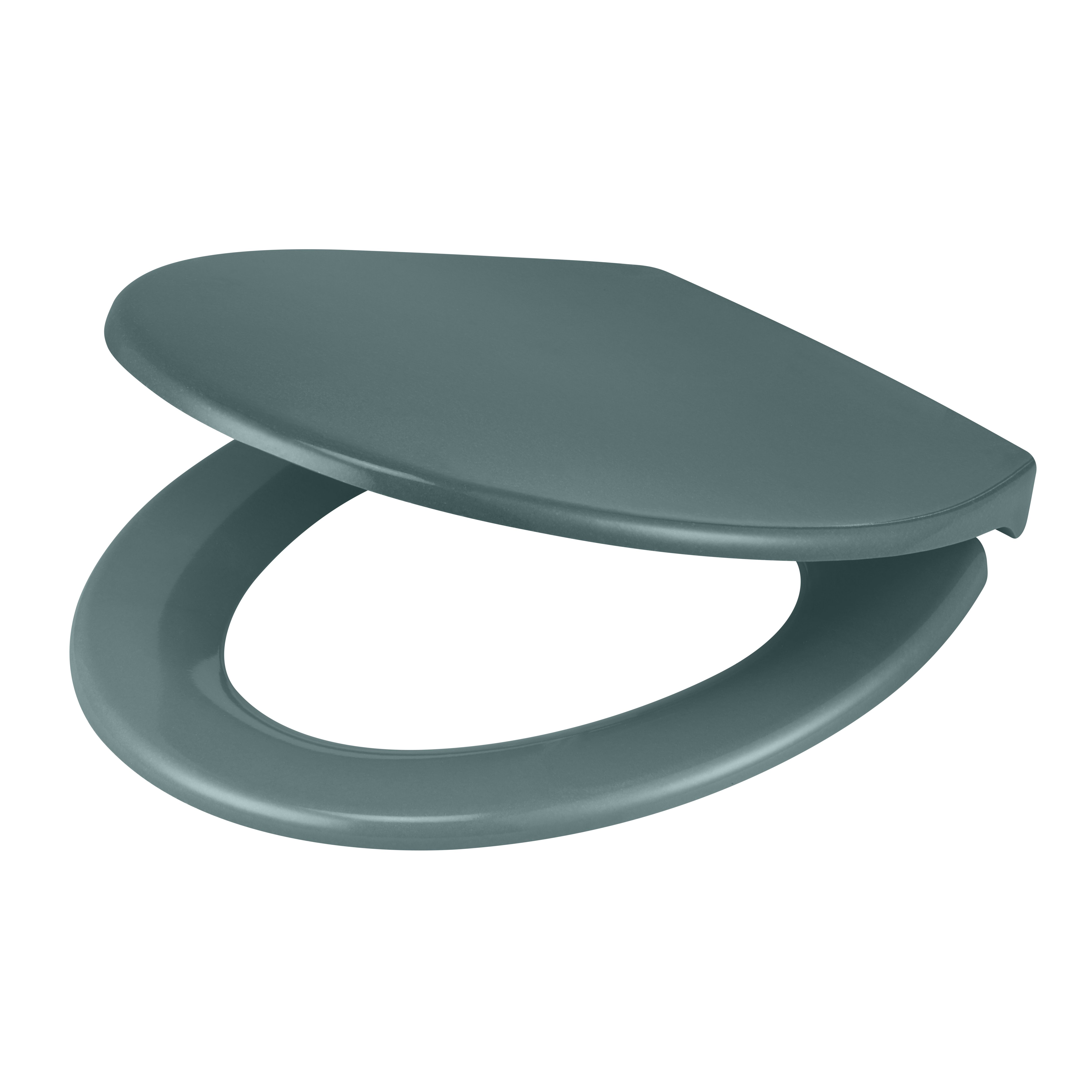 Light green toilet clearance seat