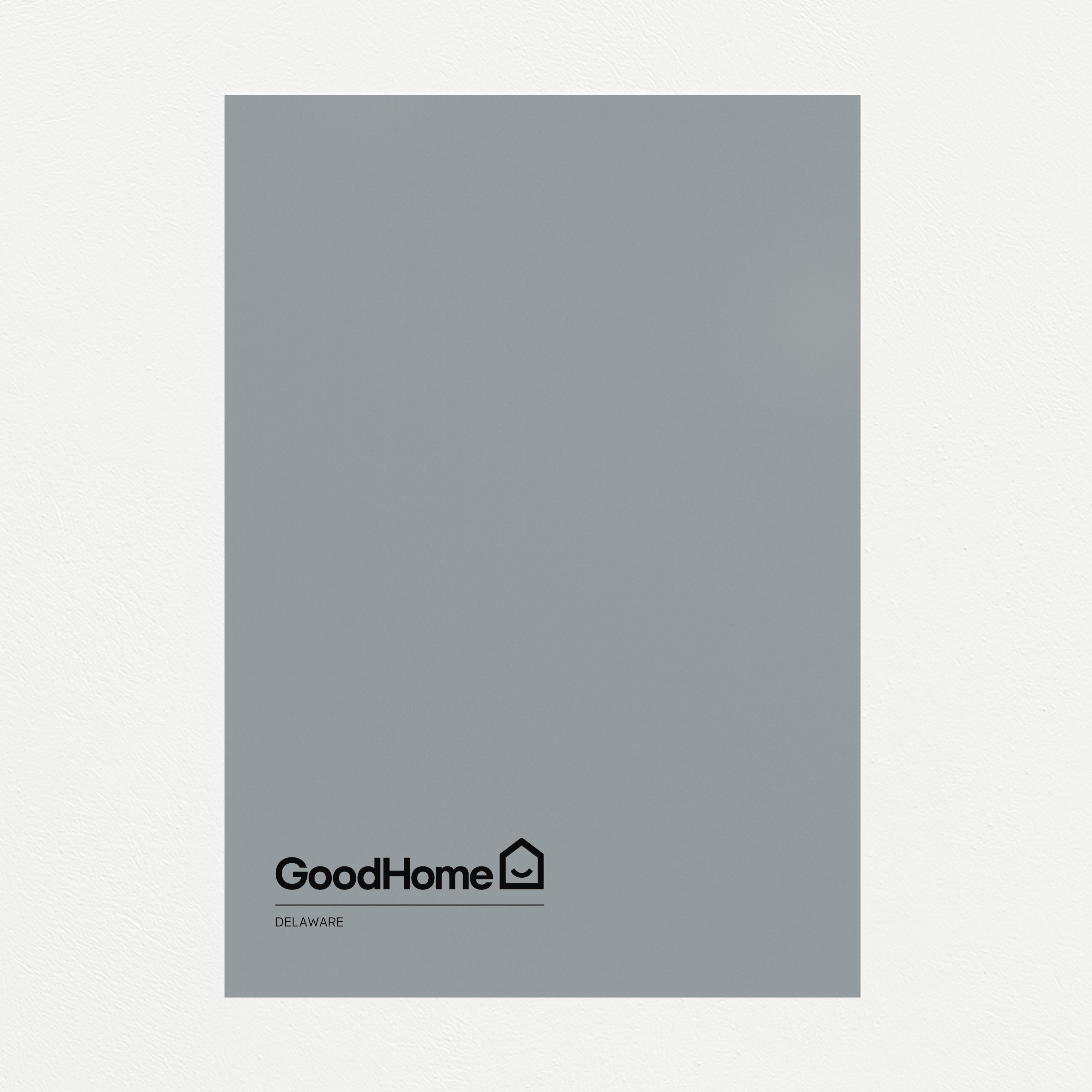 GoodHome Durable Delaware Matt Cabinet & wardrobe paint, 750ml