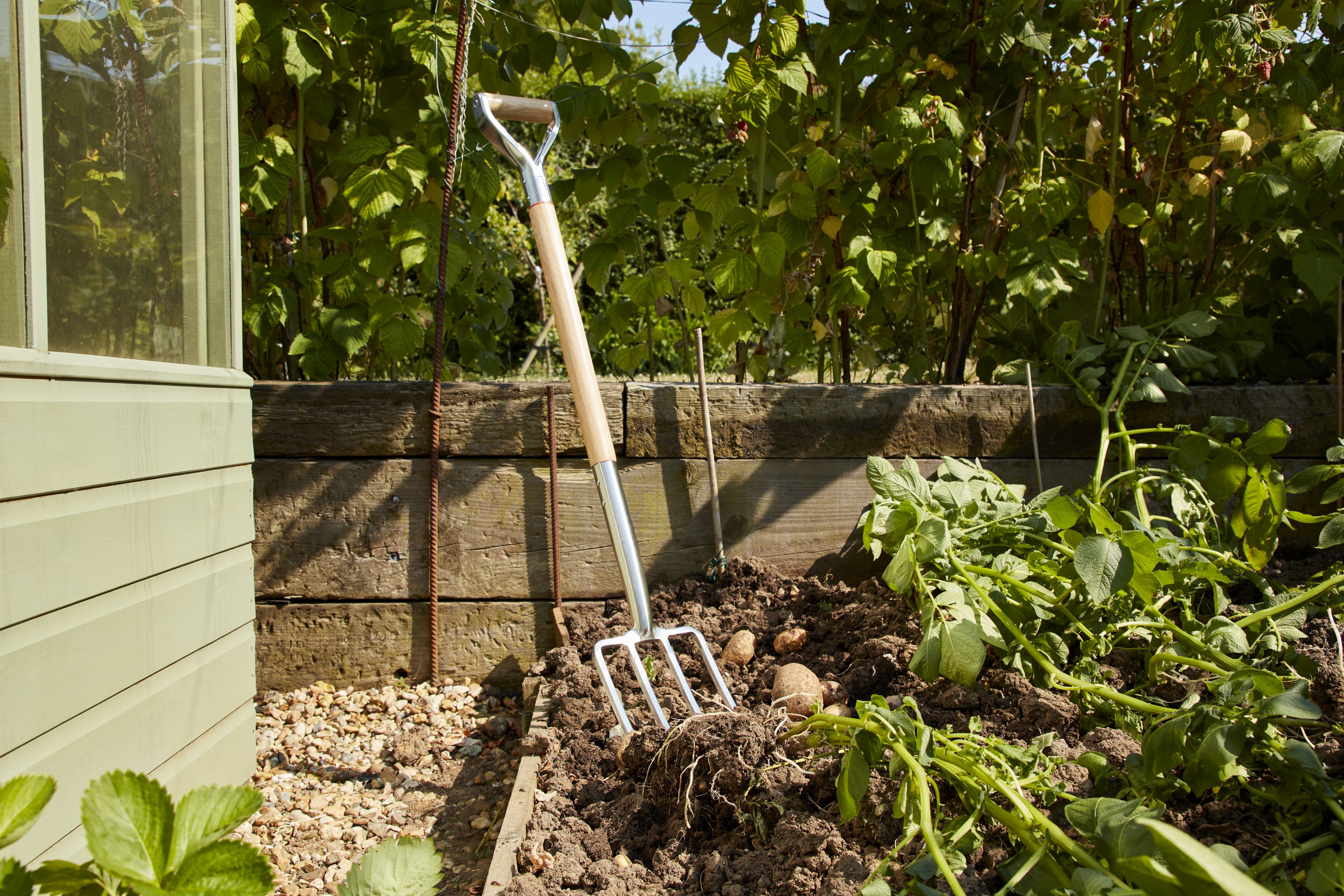 B and q 2024 garden fork