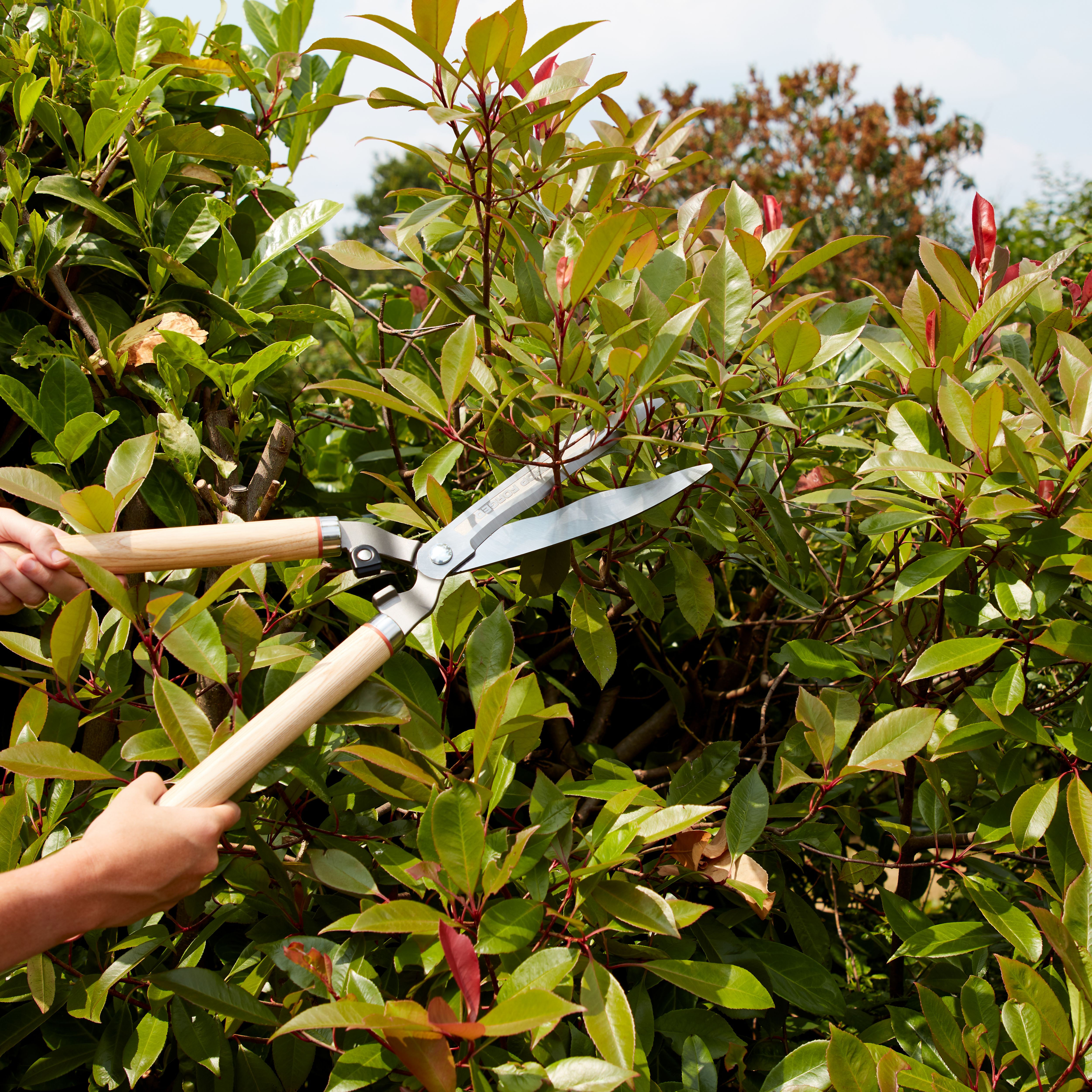 GoodHome Durum Straight Hedge Shears (D)6mm
