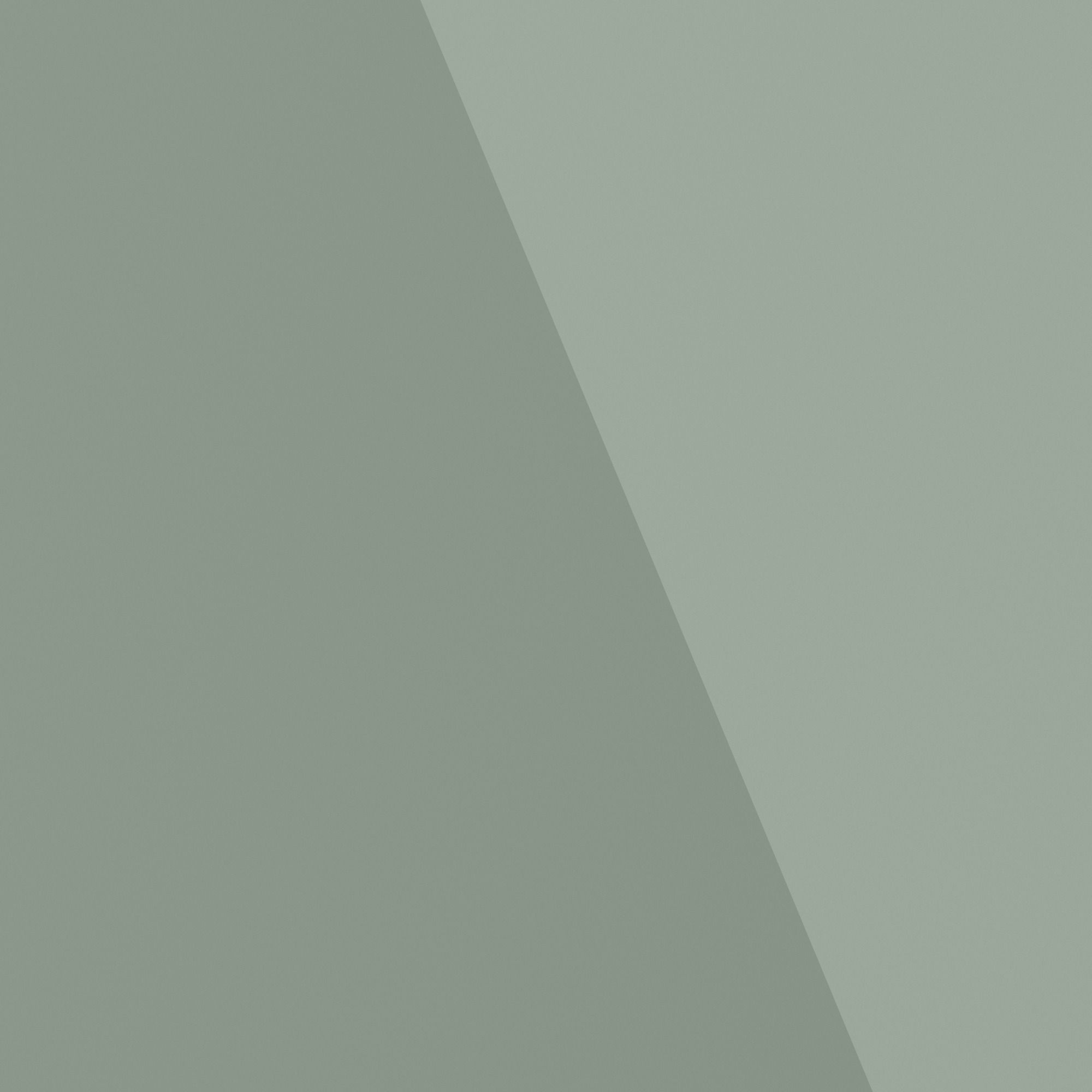 Notes on an Execution main image 0