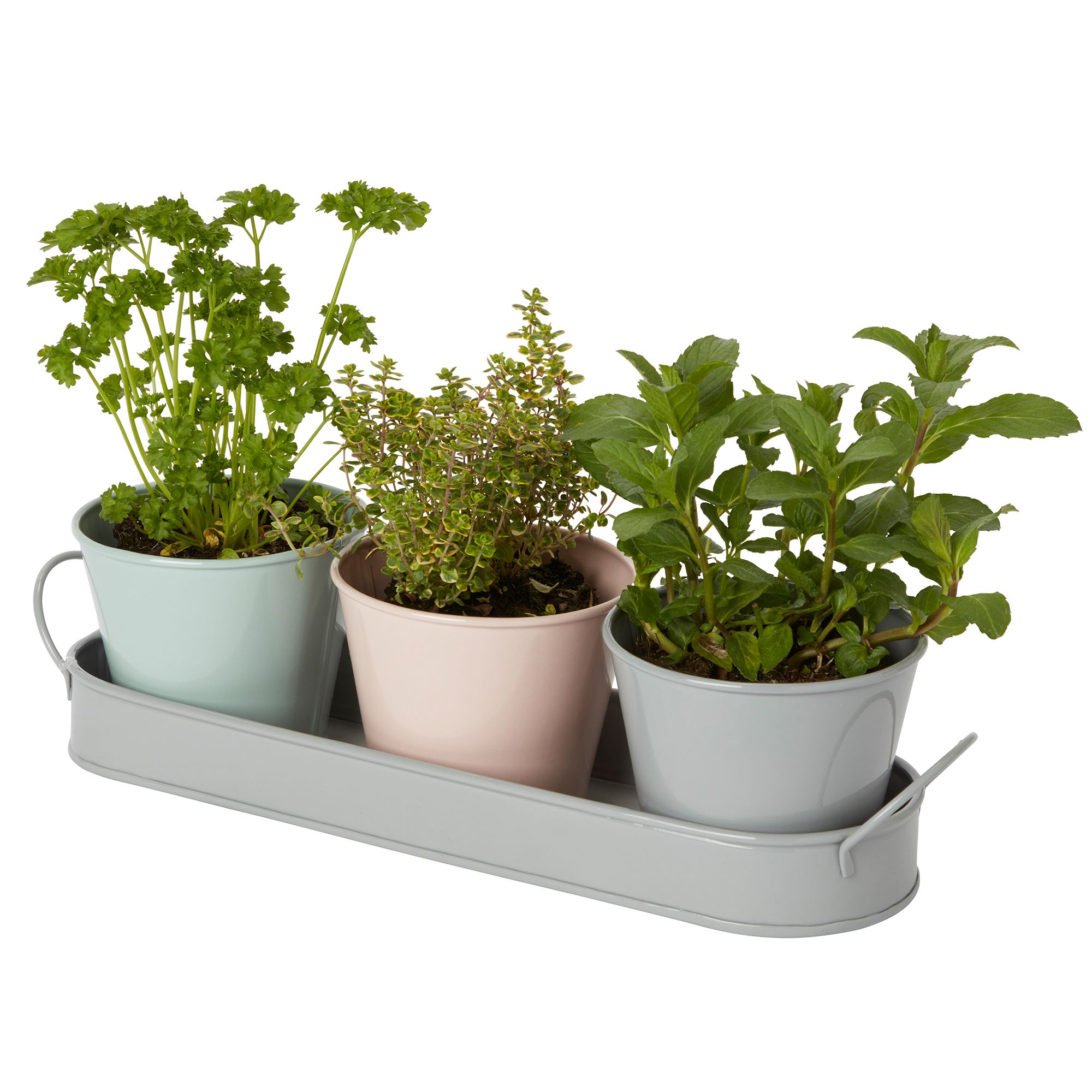 GoodHome Multicolour Metal Plant pot (Dia) 11.3cm, (H)9cm, Set of 1, 400ml