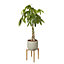 GoodHome Natural Wood Plant pot (Dia)33.5cm