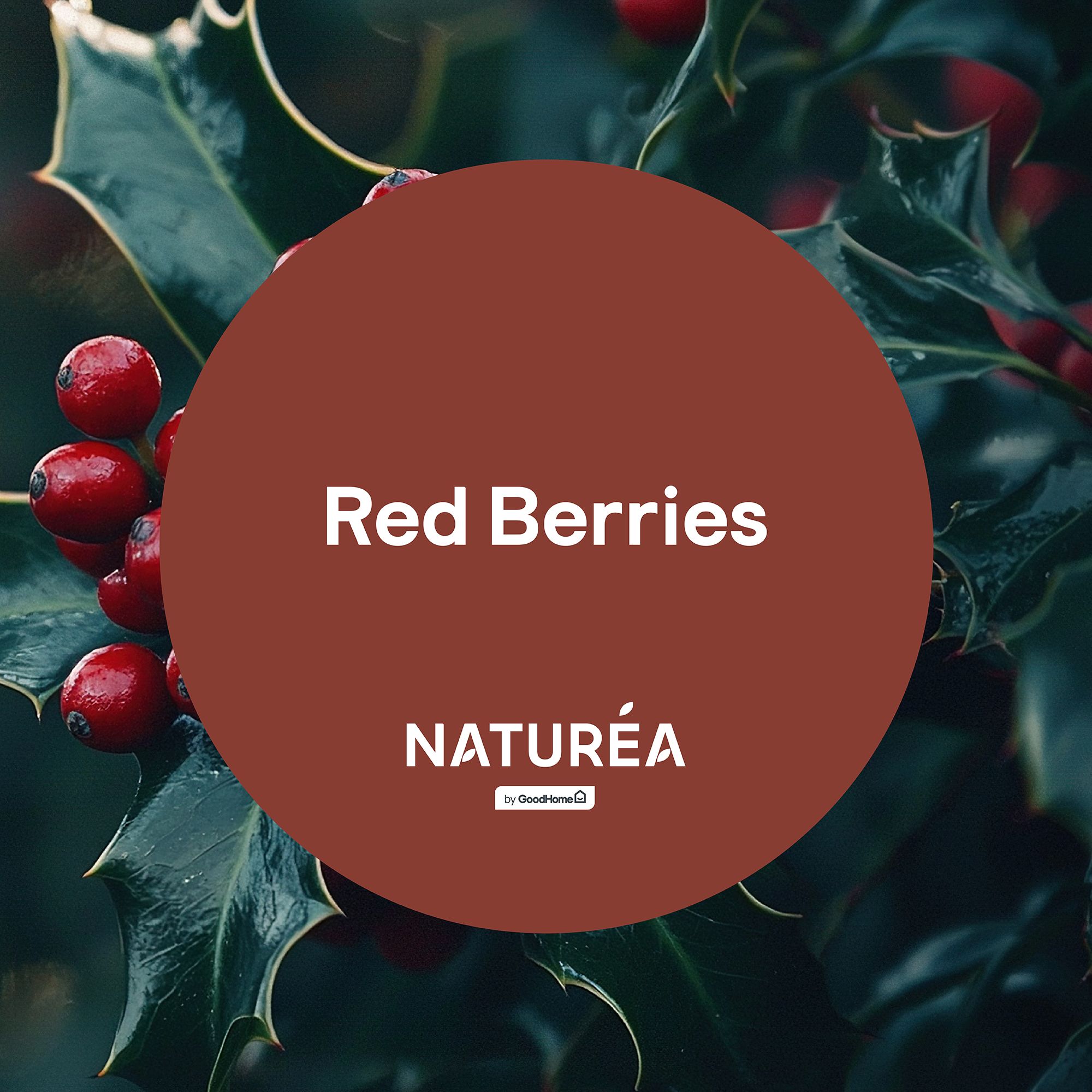 GoodHome Naturéa Red Berries Velvet matt Wall paint, 2.5L