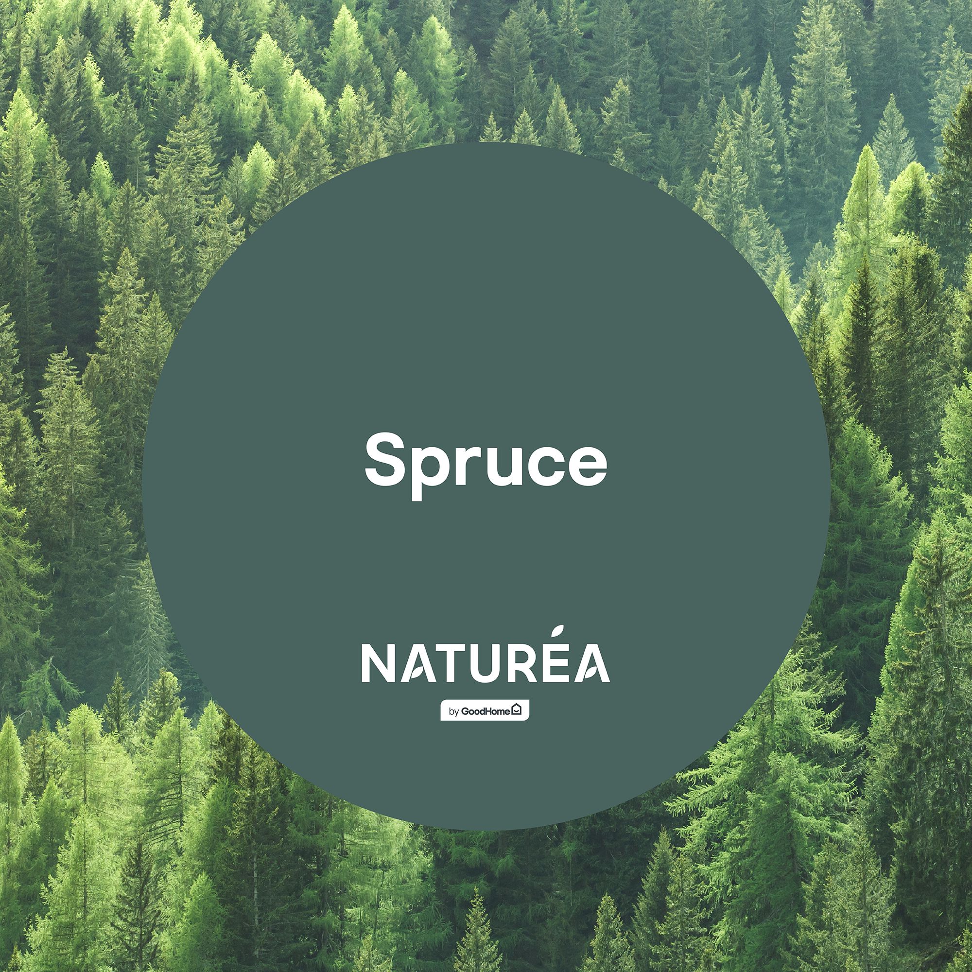 GoodHome Naturéa Spruce Velvet matt Wall paint, 70ml