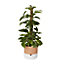 GoodHome Terracotta & white Terracotta Circular Plant pot (Dia)22.8cm