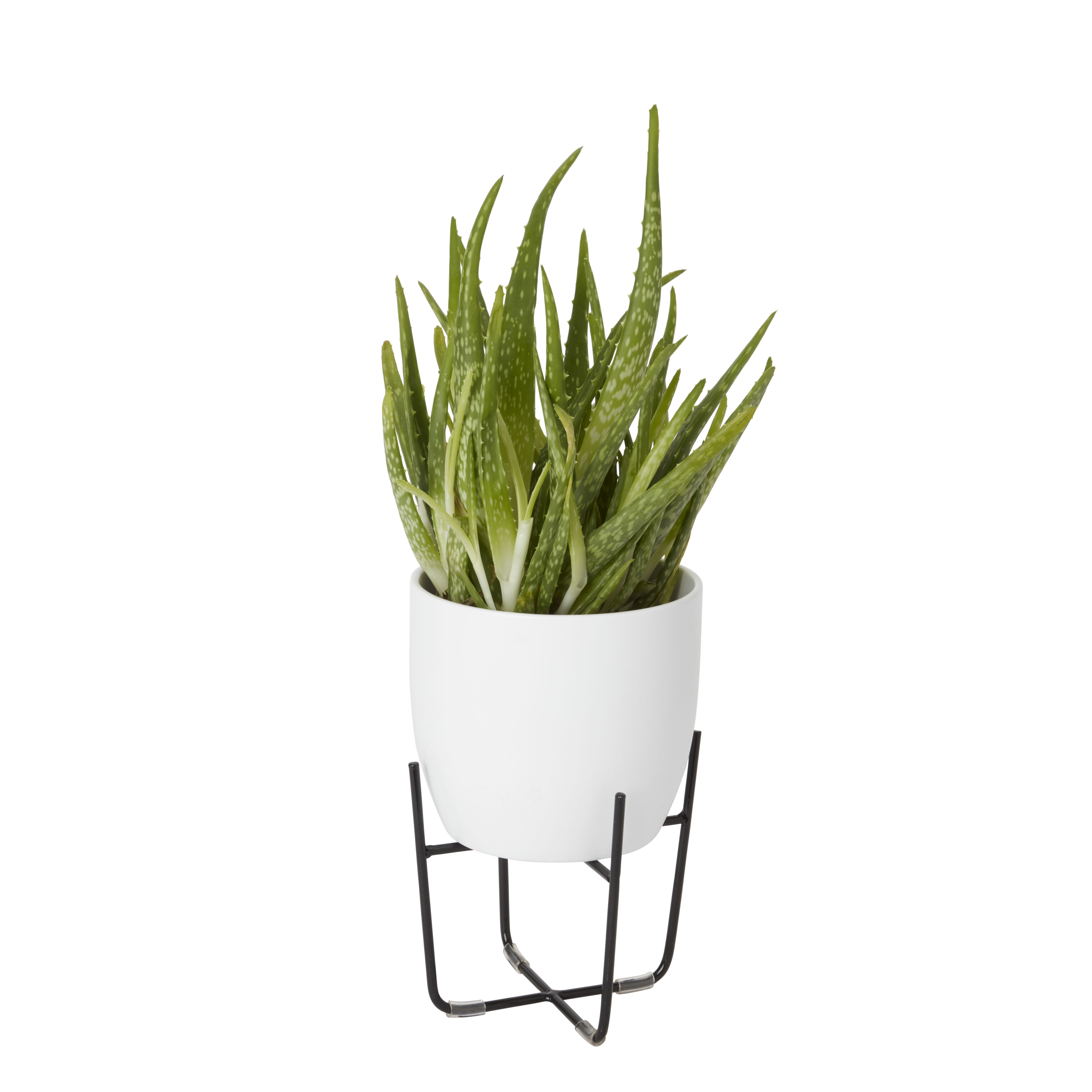 GoodHome White Ceramic Round Plant pot (Dia) 14.4cm, (H)12.5cm, 1.4L