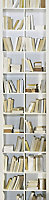 Graham & Brown Trompe oeil Cream Bookcase Mural