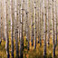 Grandeco Multicolour Birch tree Matt Mural