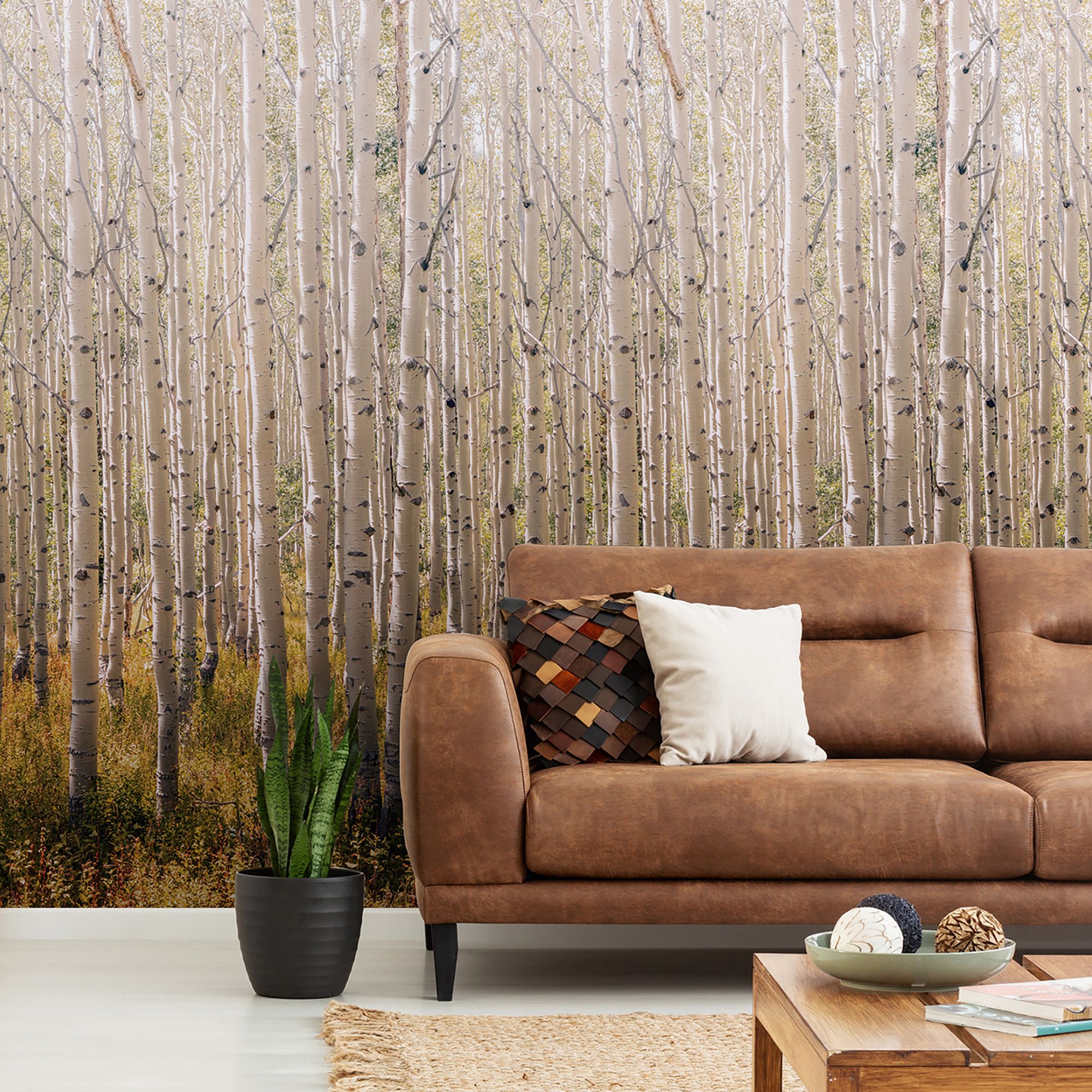 Grandeco Multicolour Birch tree Matt Mural
