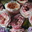 Grandeco Multicolour Floral Matt Mural