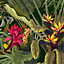 Grandeco Multicolour Jungle 3D effect Matt Mural