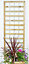 Grange Fencing Contemporary Rectangle Trellis panel (W)0.6m (H)1.8m, Pack of 3