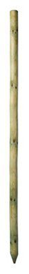 Grange Timber Tree pole (L)1.5m (W)40mm