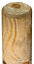 Grange Timber Tree pole (L)1.5m (W)40mm