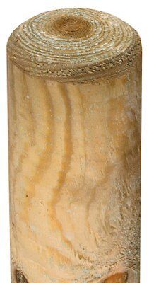 Grange Timber Tree pole (L)1.5m (W)40mm