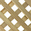 Grange Woodbury 2ft Lattice European softwood Trellis panel (W)180cm x (H)60cm