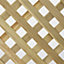 Grange Woodbury Lattice European softwood Trellis panel (W)180cm x (H)105cm