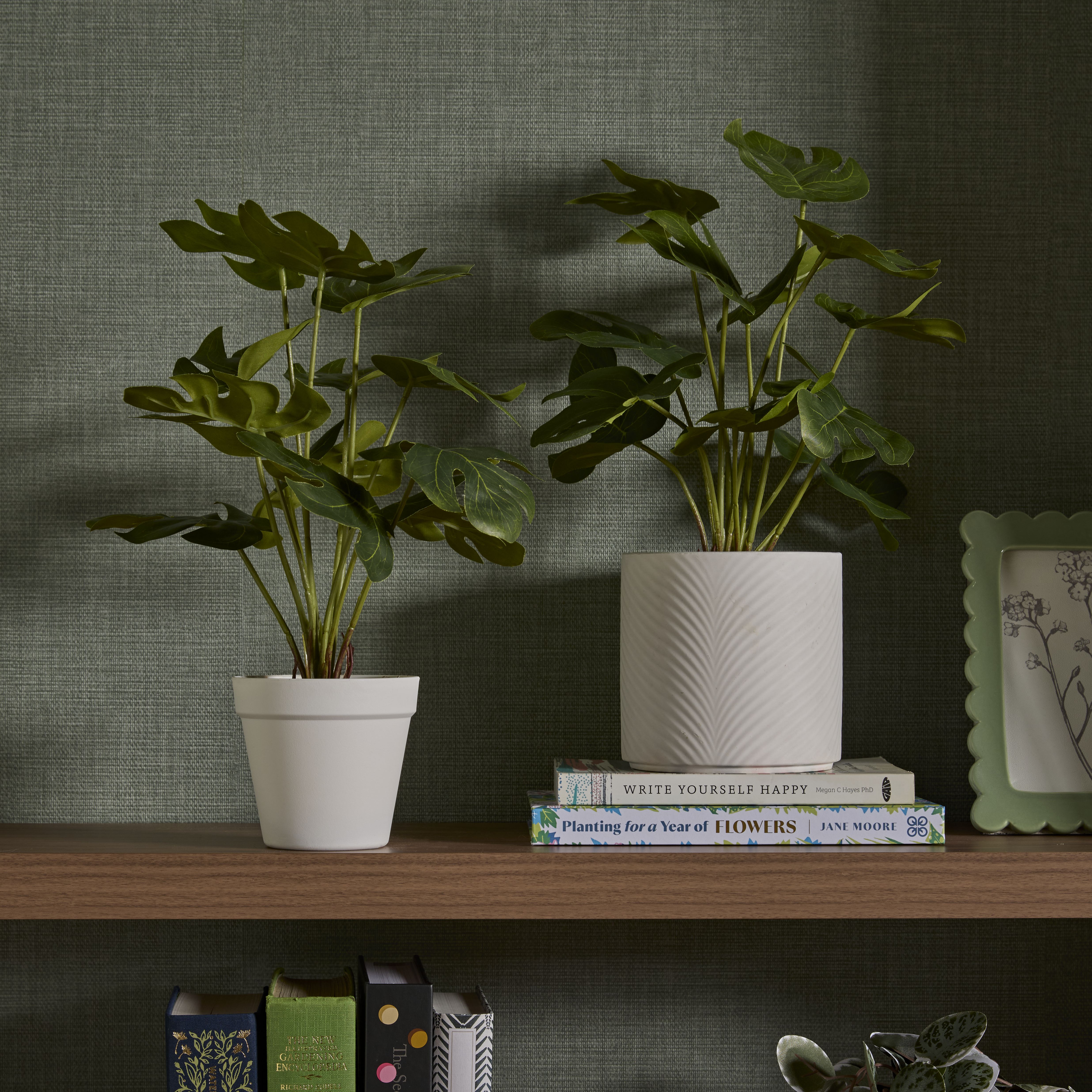 Green 37cm Cheese plant Pot with artificial plant in White Plastic Pot