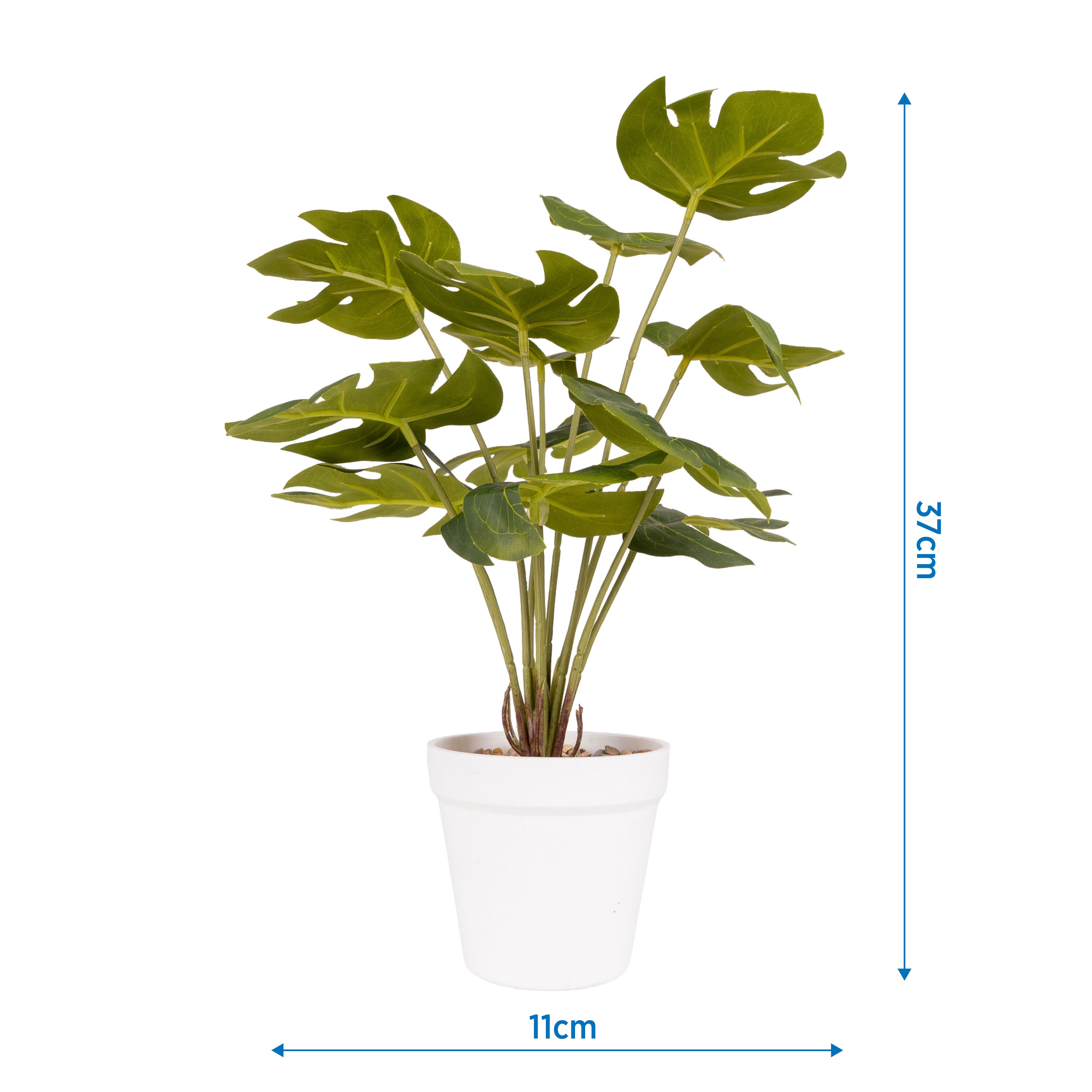 Green 37cm Cheese plant Pot with artificial plant in White Plastic Pot