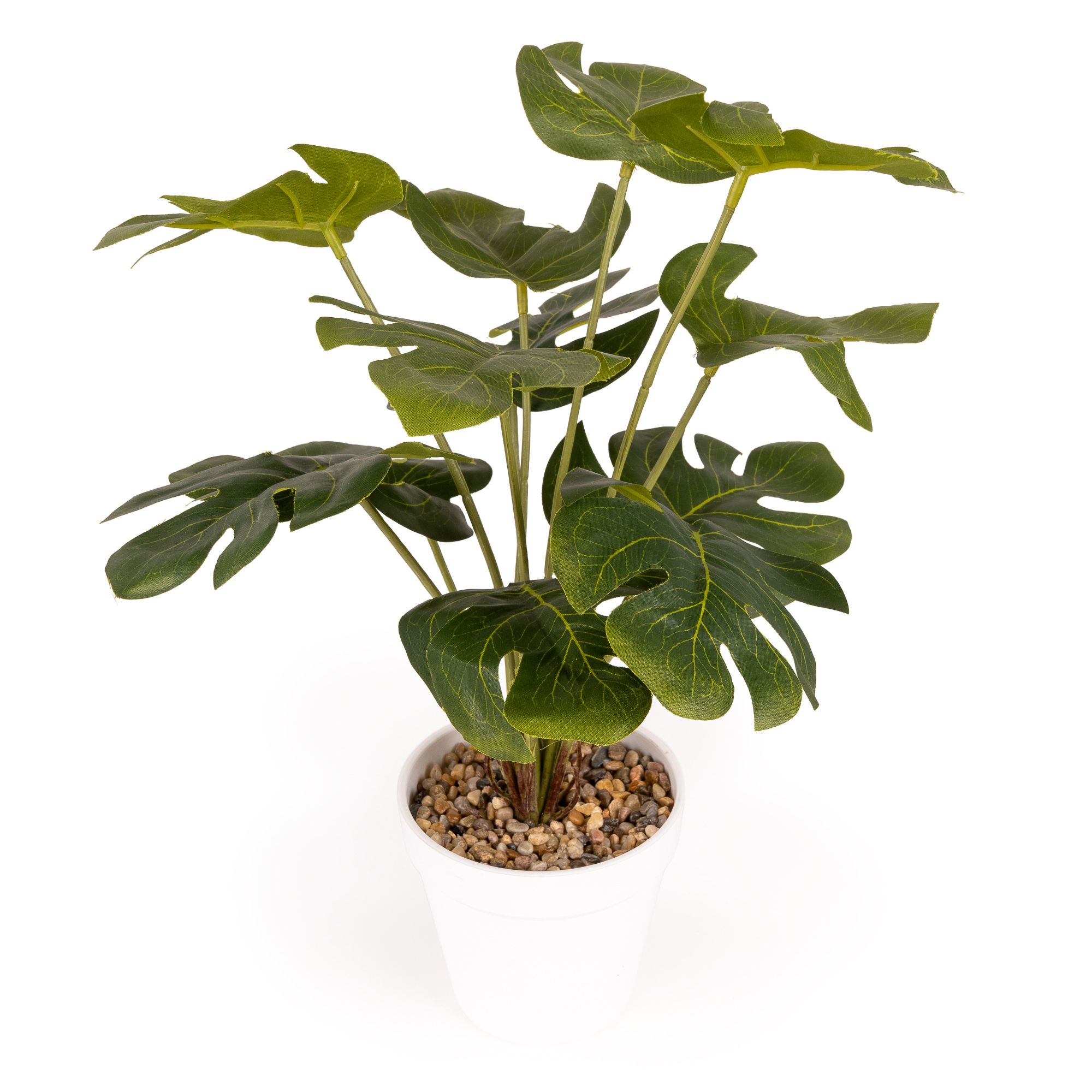 Green 37cm Cheese plant Pot with artificial plant in White Plastic Pot