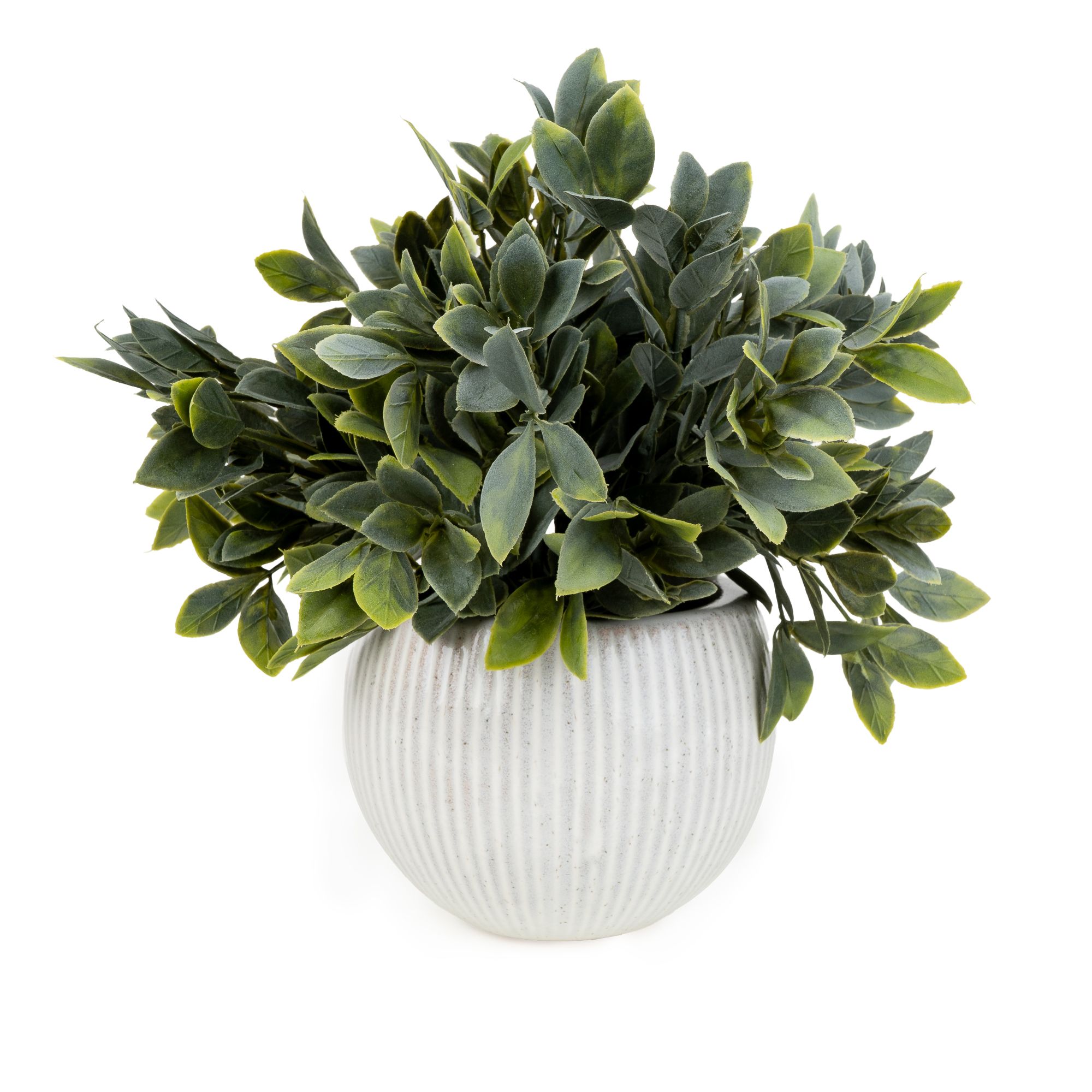 Green & Cream 26cm Fern Artificial plant in Cream Ceramic Ribbed Pot